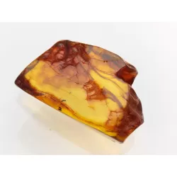 Insect inclusions in Baltic amber fossil large stone