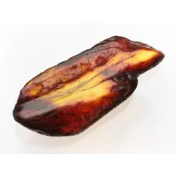 Insect inclusions in Baltic amber fossil large stone