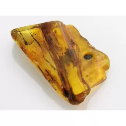 Insect inclusions in Baltic amber fossil large stone