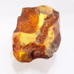 Insect inclusions in Baltic amber fossil large stone