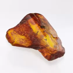 Insect inclusions in Baltic amber fossil large stone