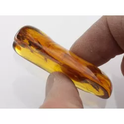Insect inclusions in Baltic amber fossil large stone