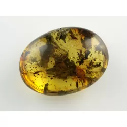 Fly Insect inclusions in Baltic amber fossil stone