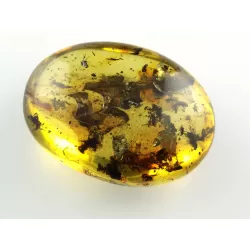 Fly Insect inclusions in Baltic amber fossil stone