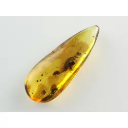 Fly Insect inclusions in Baltic amber fossil stone
