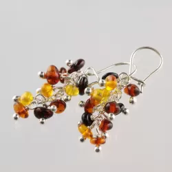 Grape bunch Baltic amber hook earrings
