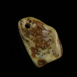 Baltic Amber Medallion pendant with hole