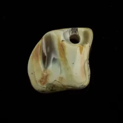 Baltic Amber Medallion pendant with hole