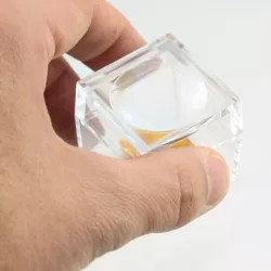 Trapped insect in Baltic amber with magnifying box