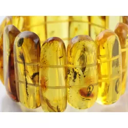 Baltic amber stretch bracelet with insect inclusions 19cm