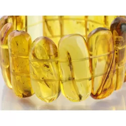 Baltic amber stretch bracelet with insect inclusions 19cm