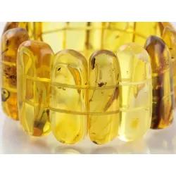 Baltic amber stretch bracelet with insect inclusions 19cm
