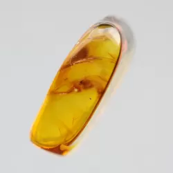 Diptera Insect inclusions in Baltic amber fossil stone
