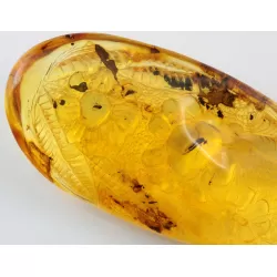 Carved Amulet Baltic amber fossil pendant w insect