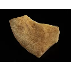 Raw Rough Genuine Baltic amber 17g Stone