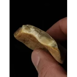 Raw Rough Genuine Baltic amber 17g Stone