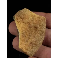 Raw Rough Genuine Baltic amber 17g Stone