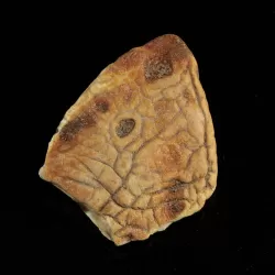 Raw Rough Genuine Baltic amber 10g Stone