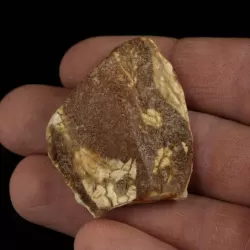 Raw Rough Genuine Baltic amber 10g Stone