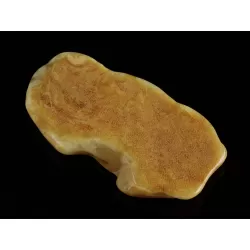 Polished Genuine Baltic amber 17g Stone