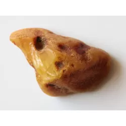 Raw Rough Genuine Baltic amber 17g Stone