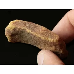 Raw Rough Genuine Baltic amber 13g Stone