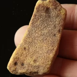 Raw Rough Genuine Baltic amber 13g Stone