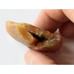 Raw Rough Genuine Baltic amber 17g Stone