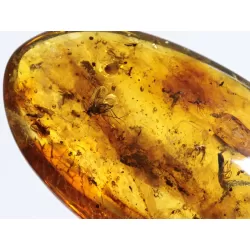 Swarm Insect inclusions in Baltic amber fossil amulet stone