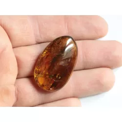 Swarm Insect inclusions in Baltic amber fossil amulet stone