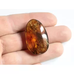 Swarm Insect inclusions in Baltic amber fossil amulet stone