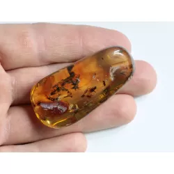 Swarm Insect inclusions in Baltic amber fossil big stone