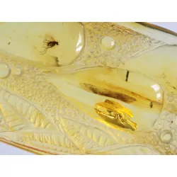 Carved Amulet Baltic amber fossil pendant w insect