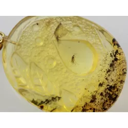 Gnat Insect in Carved Amulet Baltic amber fossil pendant