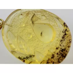 Gnat Insect in Carved Amulet Baltic amber fossil pendant