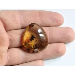 Diptera Insect inclusions in Baltic amber fossil amulet stone