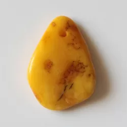 Baltic Amber Medallion pendant with hole