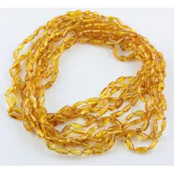 10 Honey BEANS Baltic amber adult wholesale necklaces 45cm