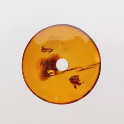 Donut shape Baltic amber pendant medallion
