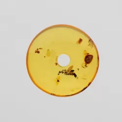 Donut shape Baltic amber pendant medallion