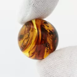 Sphere Round Baltic amber fossil w insect inclusion