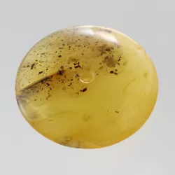 Large Donut shape Baltic amber pendant medallion