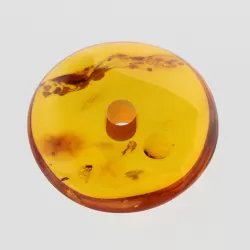 Large Donut shape Baltic amber pendant medallion w insect inclusion