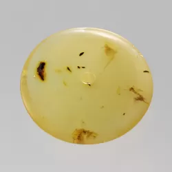 Large Donut shape Baltic amber pendant medallion