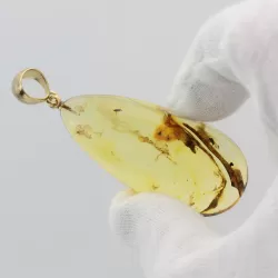 Insect inclusions in Baltic amber fossil big stone