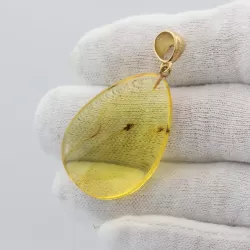 Insect inclusions in Baltic amber fossil big stone