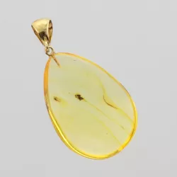 Insect inclusions in Baltic amber fossil big stone