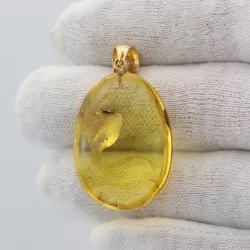 Insect inclusion in Baltic amber fossil big stone