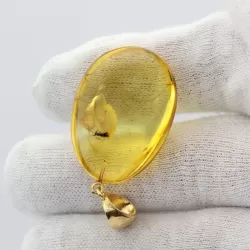 Insect inclusion in Baltic amber fossil big stone
