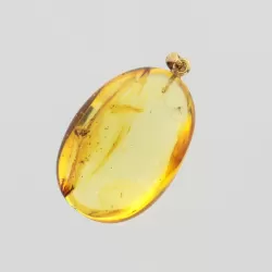 Gnat Insect inclusion in Baltic amber fossil big stone